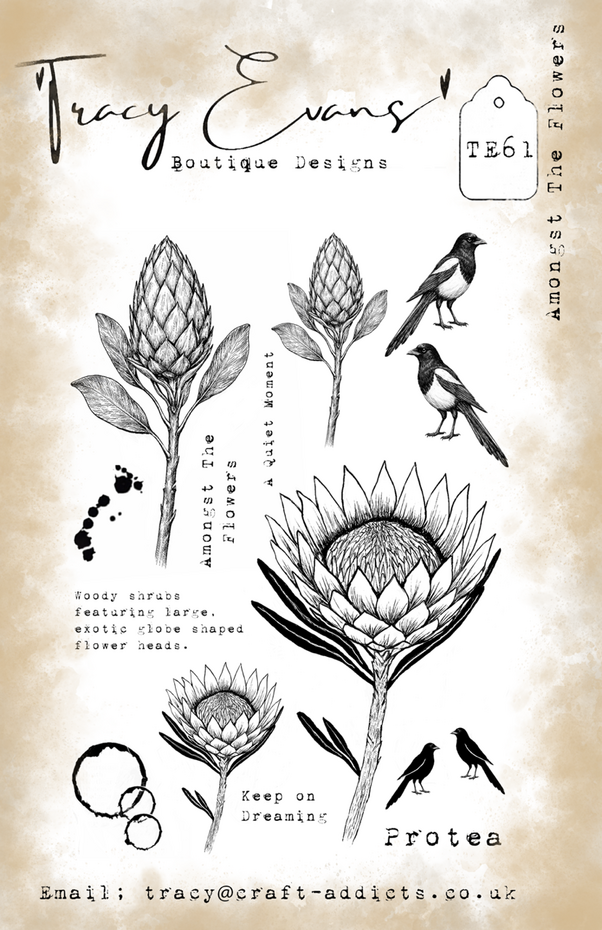 Tracy Evans - Amongst The Flowers A5 Stamp