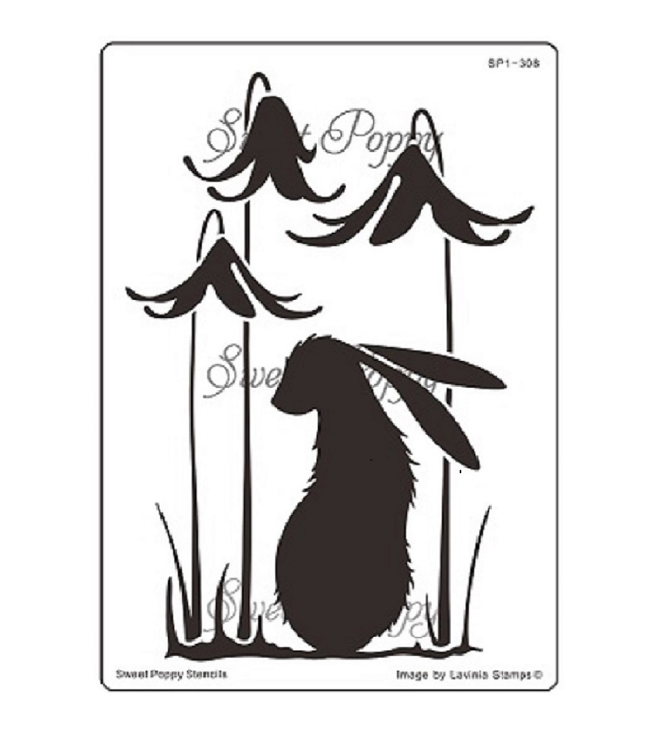 nocturne-wmarked-sized nocturne-wmarked-sized