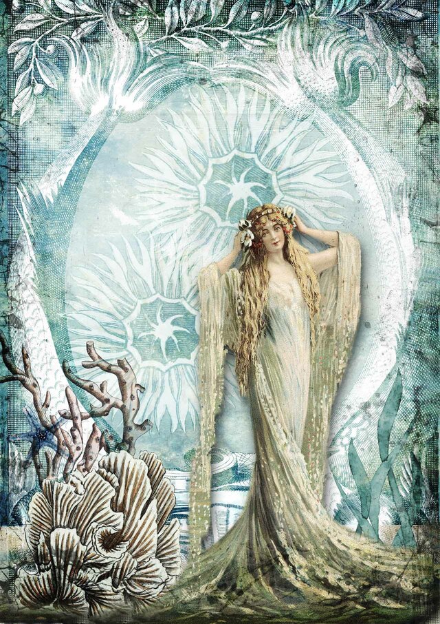 dqrp_0249_sea_queen__33161.1646077264 dqrp_0249_sea_queen__33161.1646077264