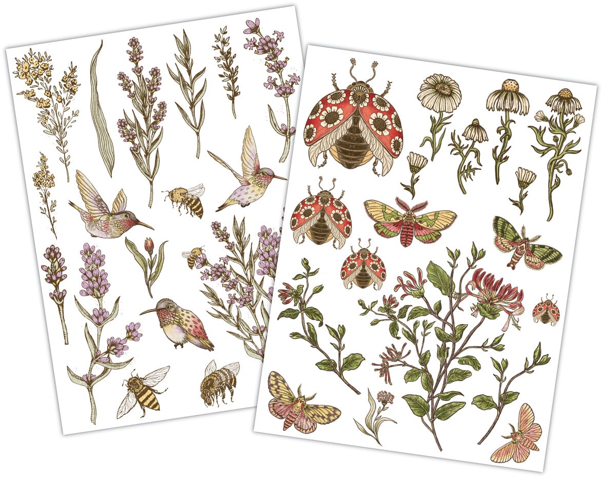 Craft Consortium - Vintage Summer Premium Rub-on Transfers Set by Olena Kovalova