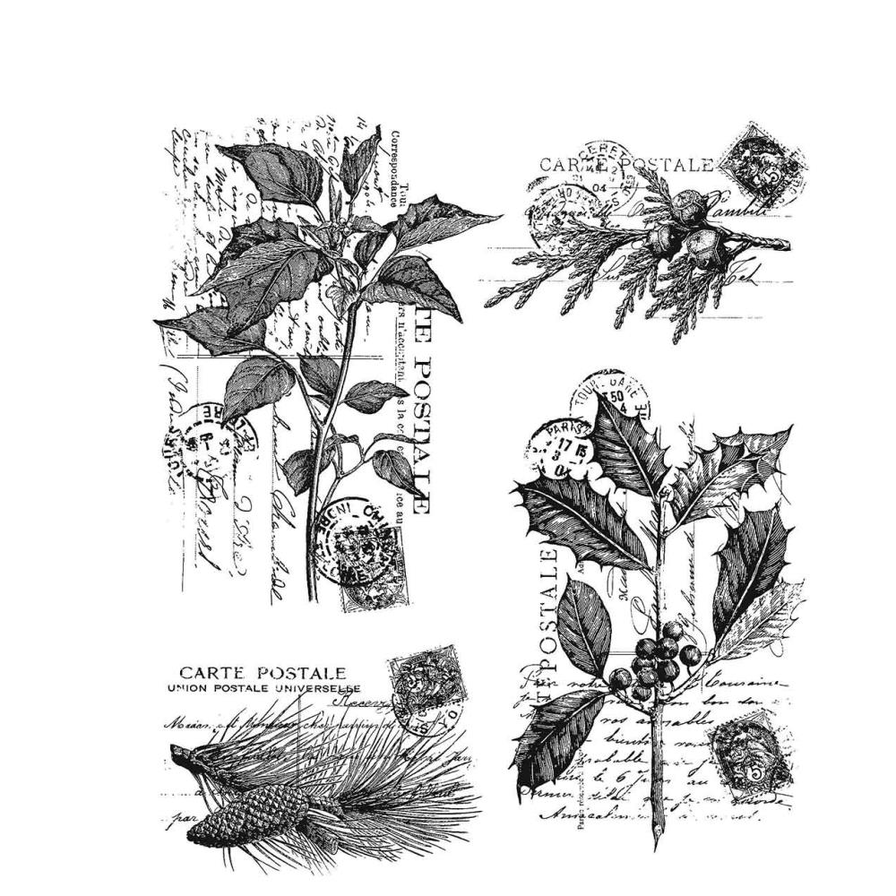 0002165508 0002165508