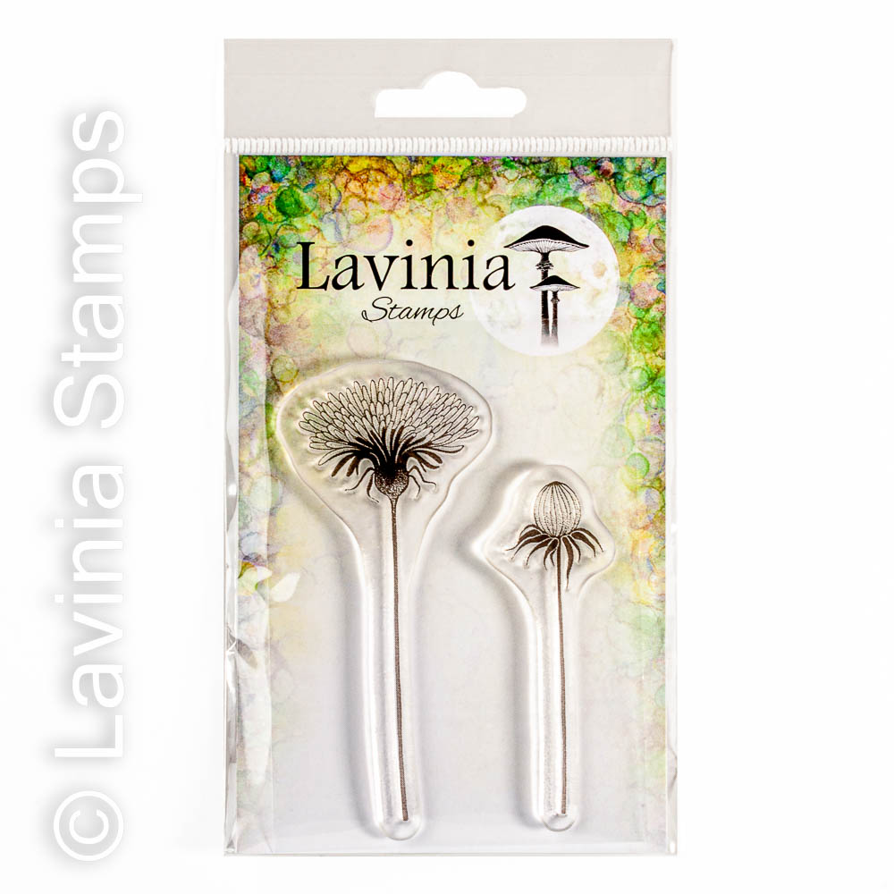 lav745-open-dandelions