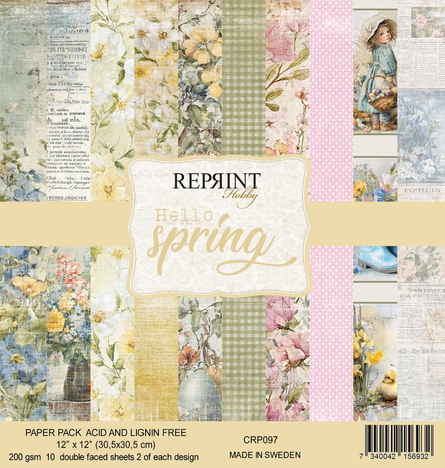 Reprint - Hello Spring 12x12 Inch Paper Pack