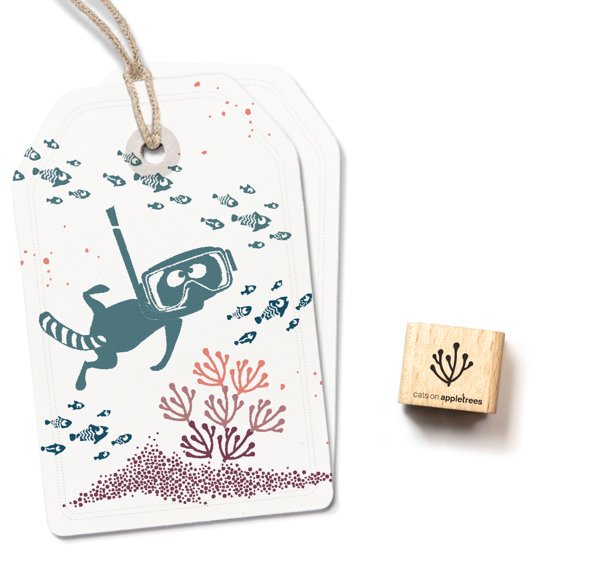 ministempel-koralle-3-ndash-klein ministempel-koralle-3-ndash-klein