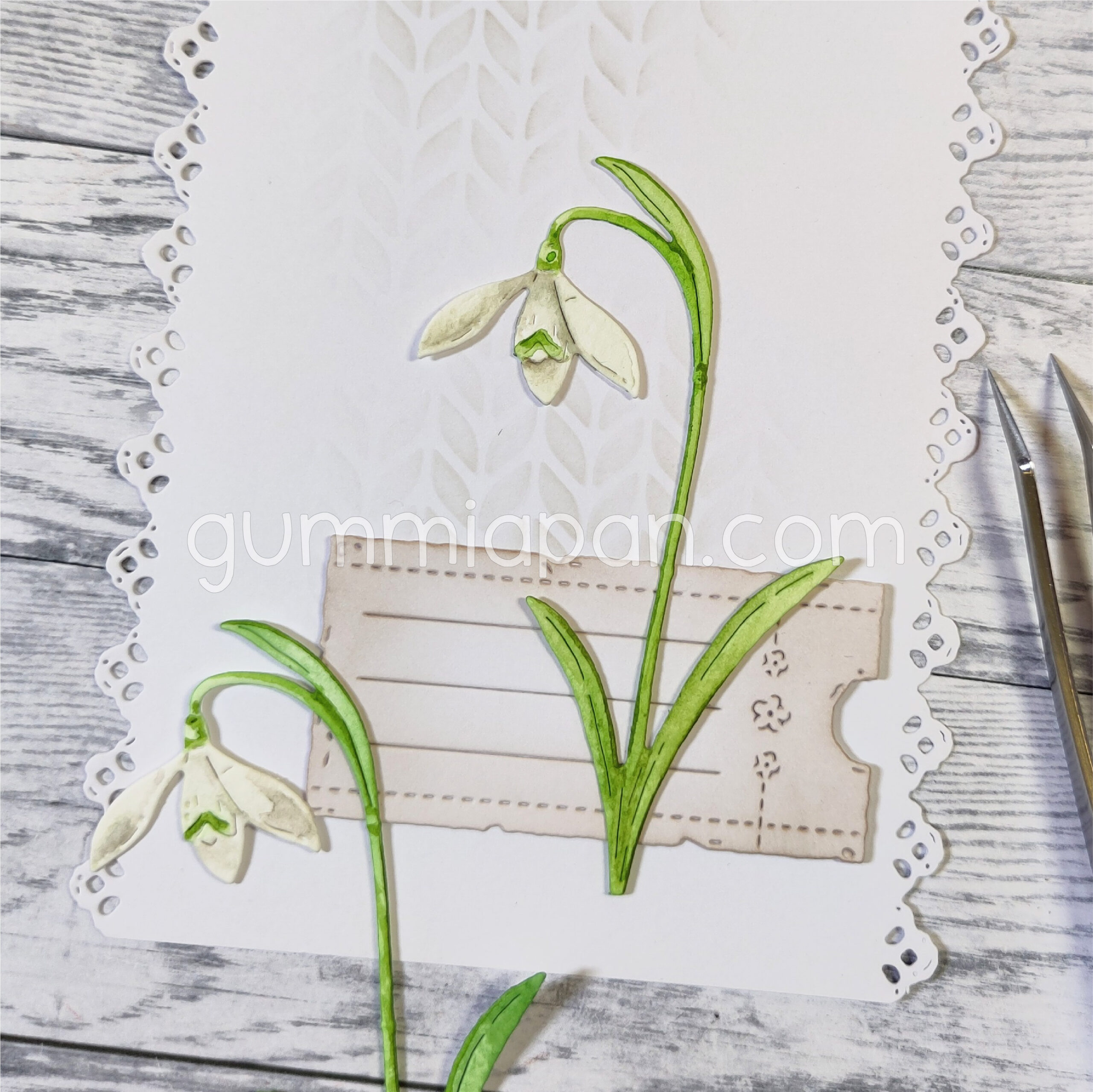 Gummiapan - Large Snowdrop