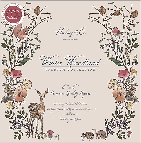 craft-consortium-winter-woodland-6x6-inch-paper-pa.jpg