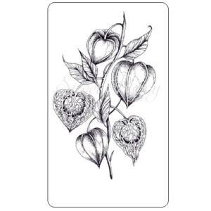 Sweet Poppy Stencil: Chinese Lantern Flower Stamp