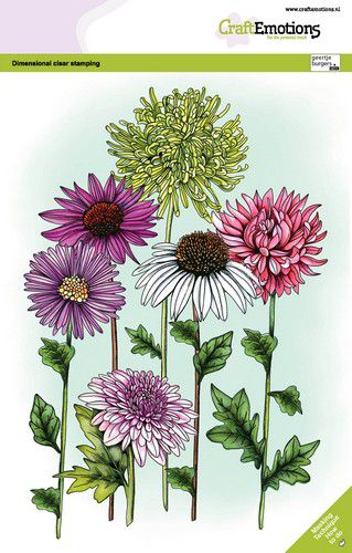 craftemotions-clearstamps-a5-sommerblumen-mischen-2-gb-dimensio-321857-de-g