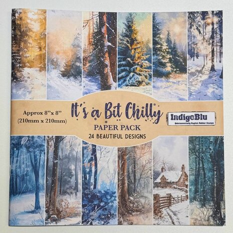 IndigoBlu -It's a Bit Chilly 8x8 Inch Paper Book