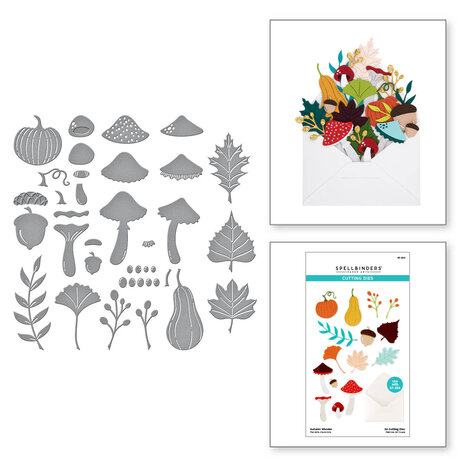 Spellbinders - Autumn Wonder Etched Dies