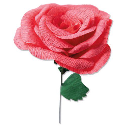 sizzix-thinlits-die-set-classic-rose-5pk-664923-olivia-rose-05-320048-de-g