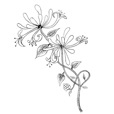 honeysuckle