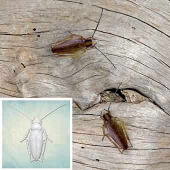 bb4d6a8e359dbb6226f2223816893b74 bb4d6a8e359dbb6226f2223816893b74