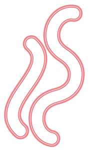 ldrs-creative-on-the-move-around-the-bend-8059.jpg ldrs-creative-on-the-move-around-the-bend-8059.jpg