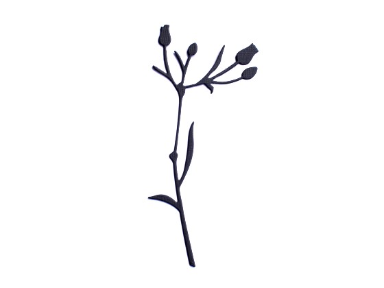 die-wildblume-iii