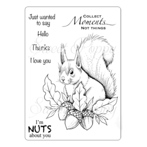Sweet Poppy Stencil: A5 Stamp Squirrel