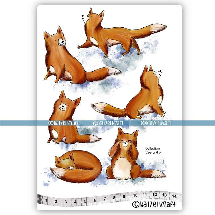ktz270_foxes