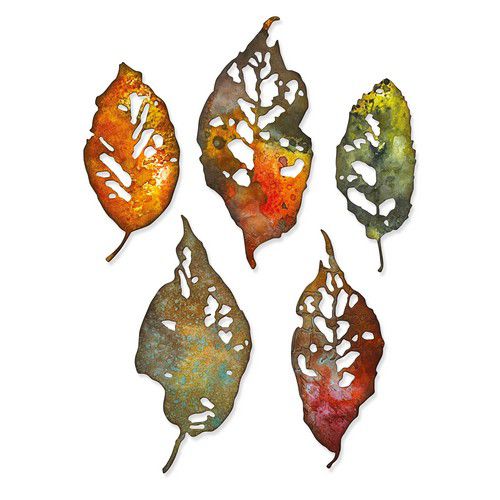 sizzix-thinlits-die-set-5pk-leaf-fragments-665559-tim-holtz-08-321669-de-g