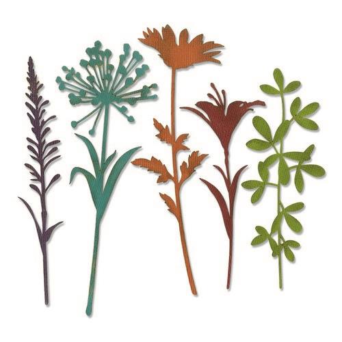 sizzix-thinlits-die-set-5pk-wildflower-stems-2-664164-tim-holtz-0119_49223_1_g