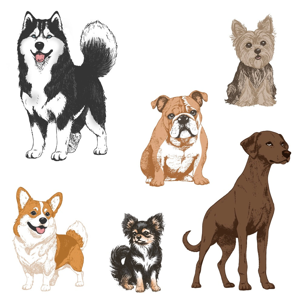 Honey Bee -   Tail Waggers - 5"x6" Rubber Cling Stamp  Honey Bee -   Tail Waggers - 5"x6" Rubber Cling Stamp