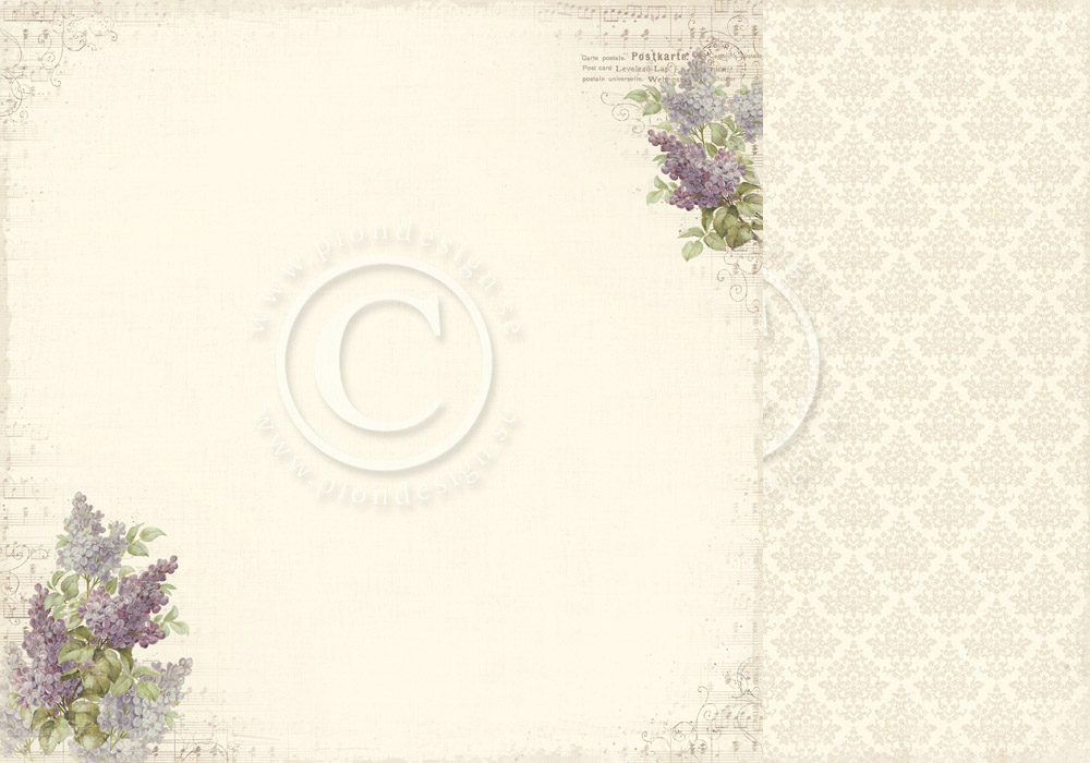 22752719-origpic-2f411b