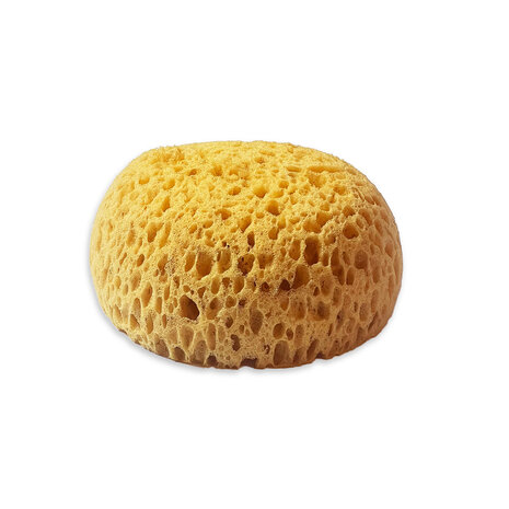 Stamperia - Art Stories Sponge Paint 