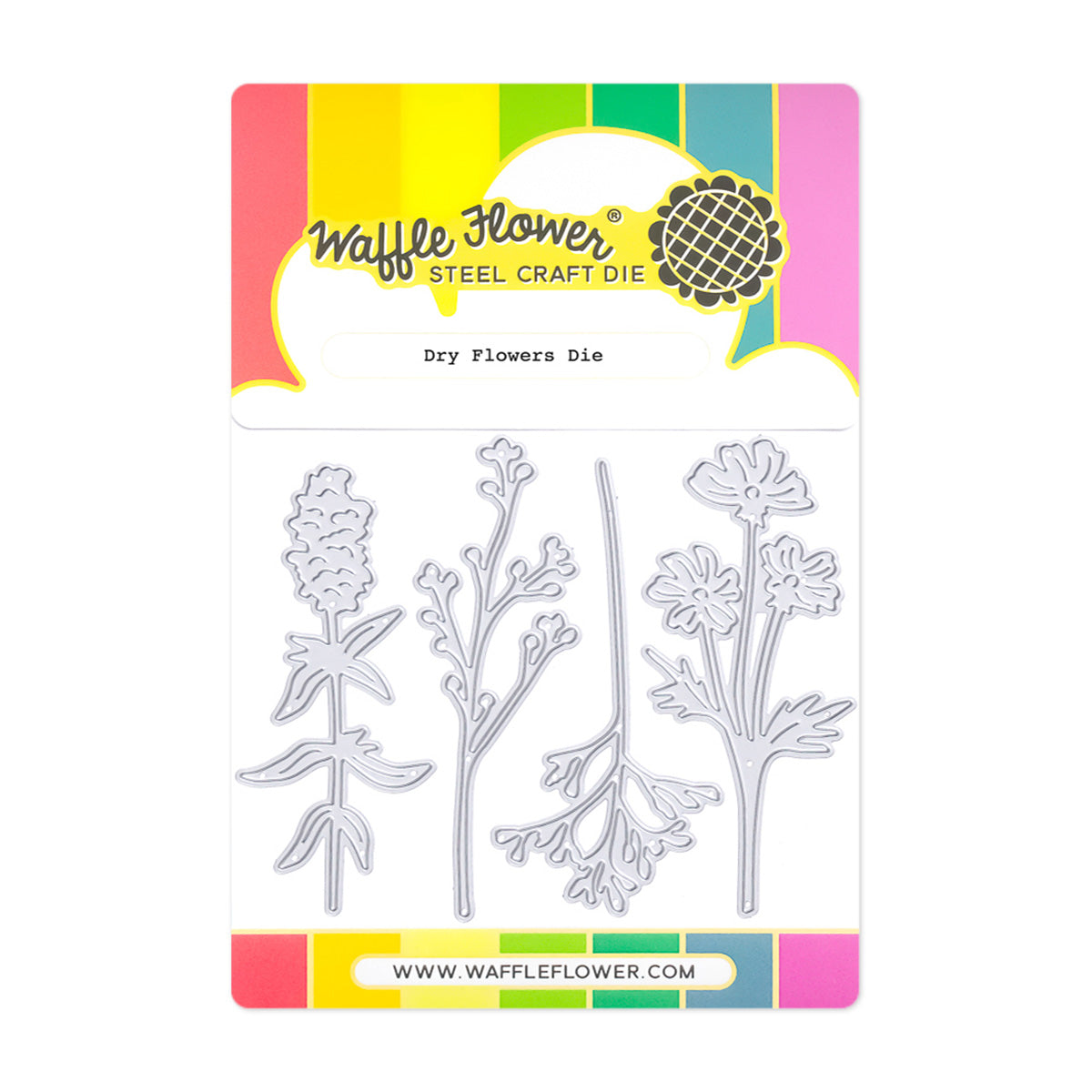 Waffle Flower - Dry Flowers Die