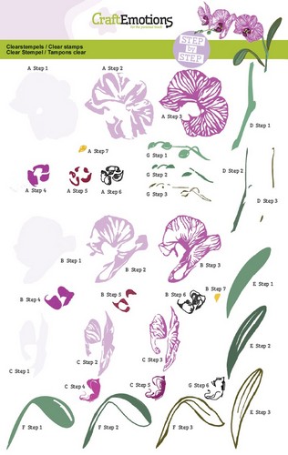 craftemotions-step-clearstamps-a5-orchide-0117_27088_1_g