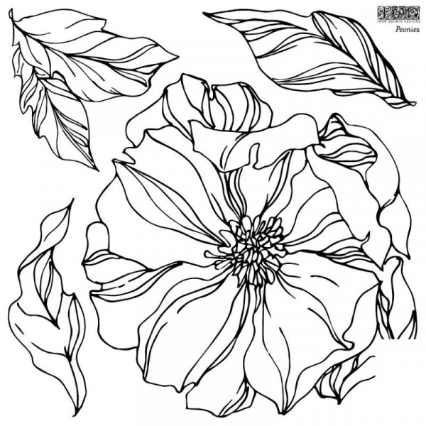 IOD - IRON ORCHID DESIGNS - Stempel - Peonies