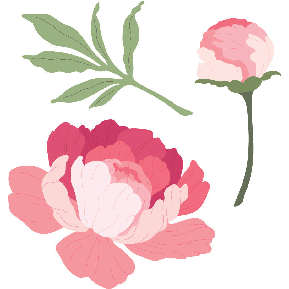 Honey Bee - Lovely Layers: Peony - Honey Cuts 