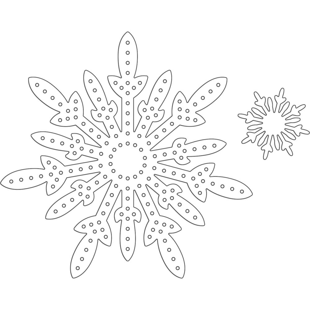 0000795169 0000795169