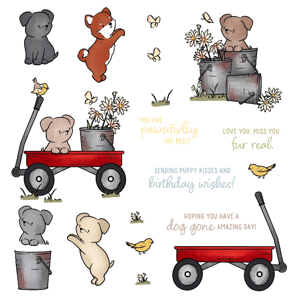 Honey Bee -  Dog Gone Amazing - 6"x8" Clear Stamp Set  Honey Bee -  Dog Gone Amazing - 6"x8" Clear Stamp Set