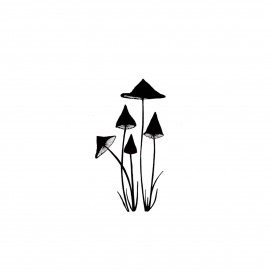 mini-slender-mushrooms-270x270
