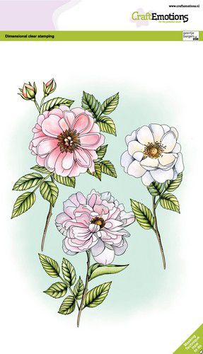 craftemotions-clearstamps-a5-rosen-und-zweige-gb-dimensional-st-320611-de-g