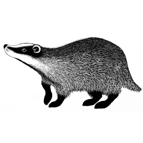badger-2-500x500