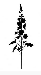 wildflowers