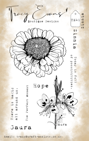 Tracy Evans - Zinnia A6 Stamp