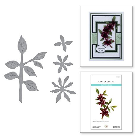 spellbinders-carolina-allspice-etched-dies-s4-1234