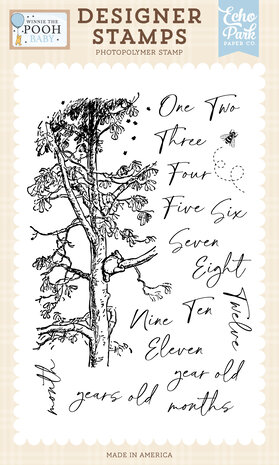 Echo Park - Winnie The Pooh Baby Designer Stamps First Year Milestones