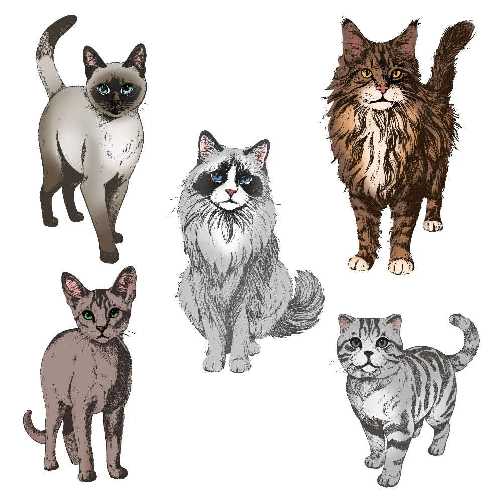 Honey Bee - Paws & Purrs - 4"x5" Rubber Cling Stamp  Honey Bee - Paws & Purrs - 4"x5" Rubber Cling Stamp