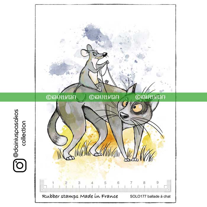 solo177_ballade_a_chat-2