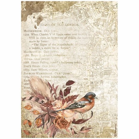 stamperia-a4-rice-paper-our-way-bird-6-pcs-dfsa471