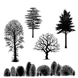tree_scene-270x270 tree_scene-270x270