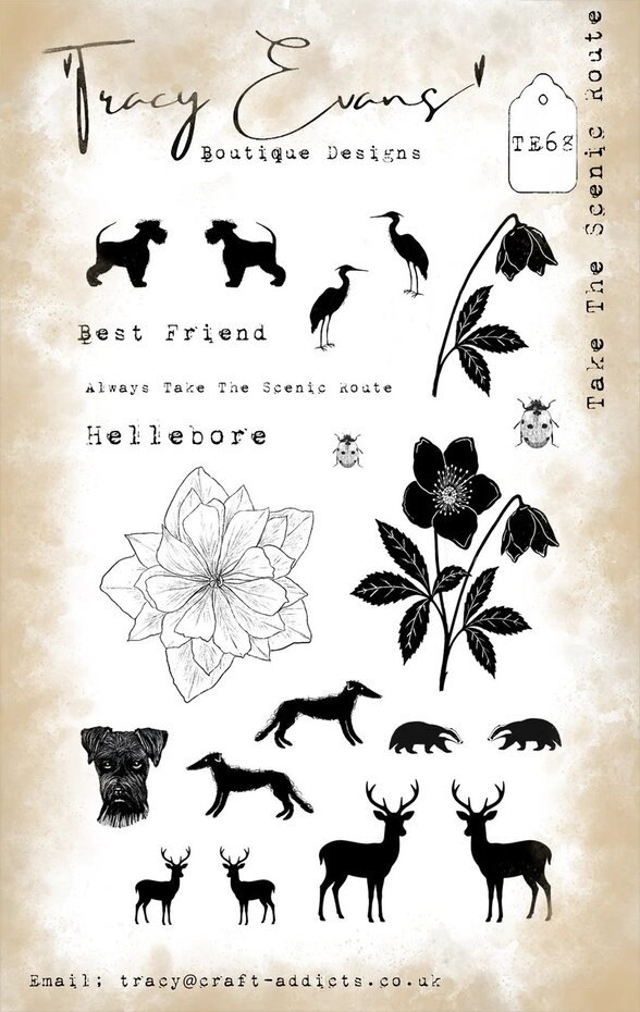 Tracy Evans - Take The Scenic Route A6 Stamp