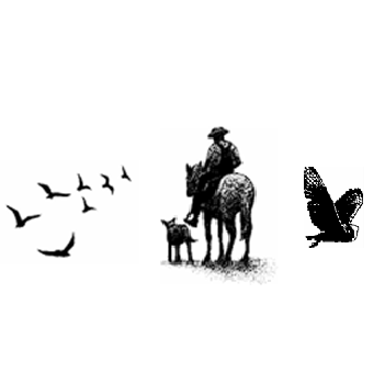 Sweet Poppy: Stampscapes – Critter Set 1 – Polymer Sweet Poppy: Stampscapes – Critter Set 1 – Polymer