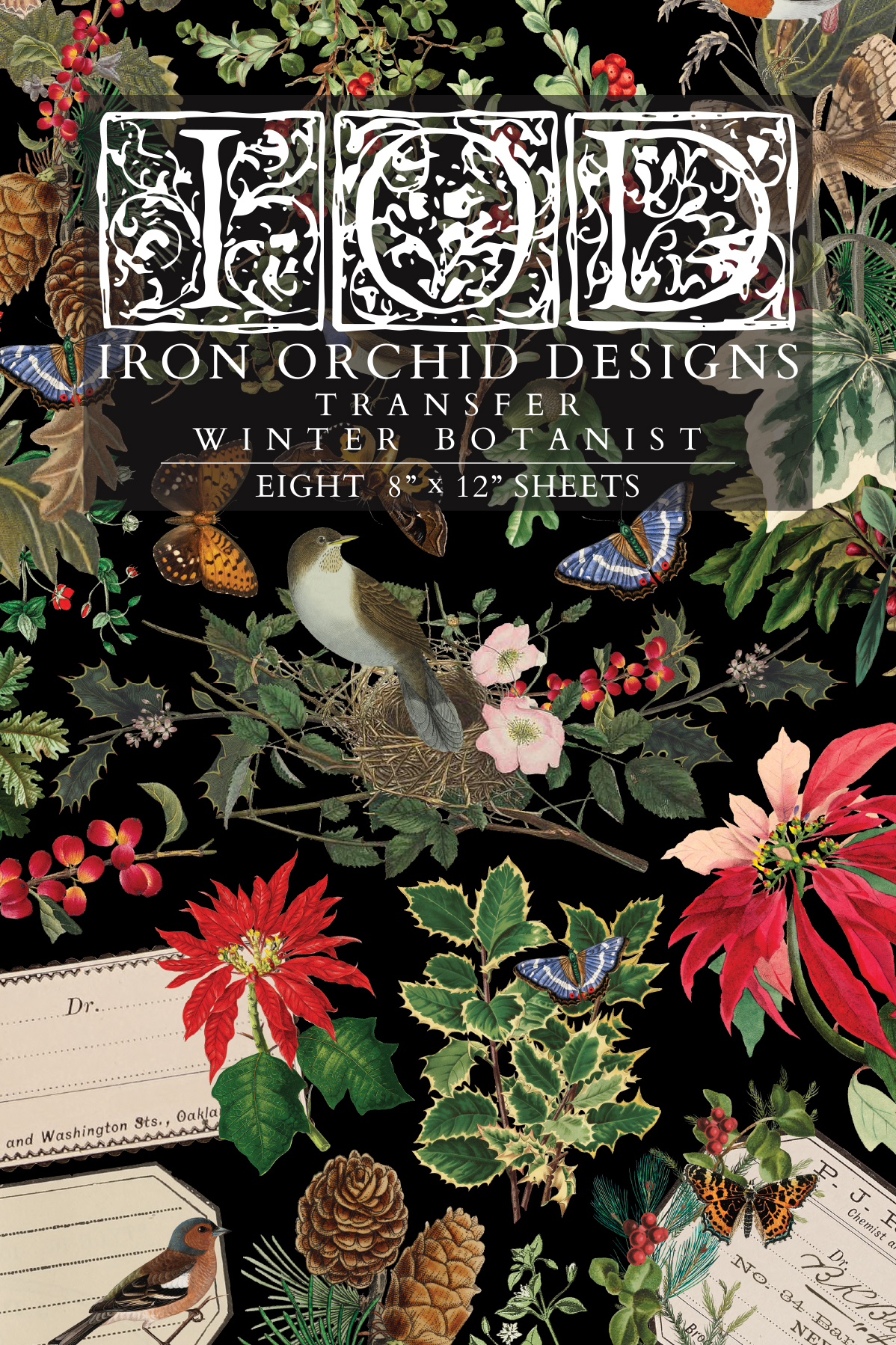 IOD - Transfer - Winter Botanist