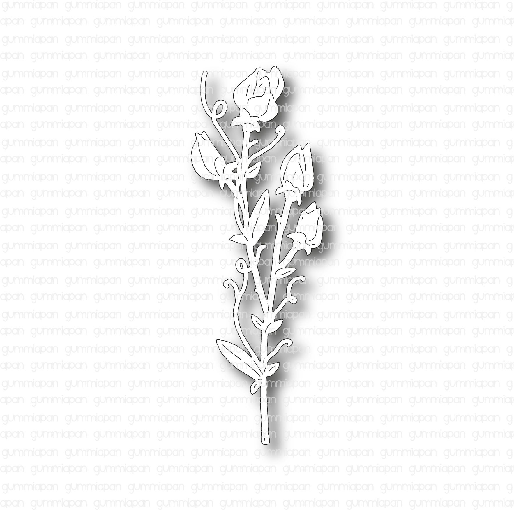 Gummiapan - Sweet Pea