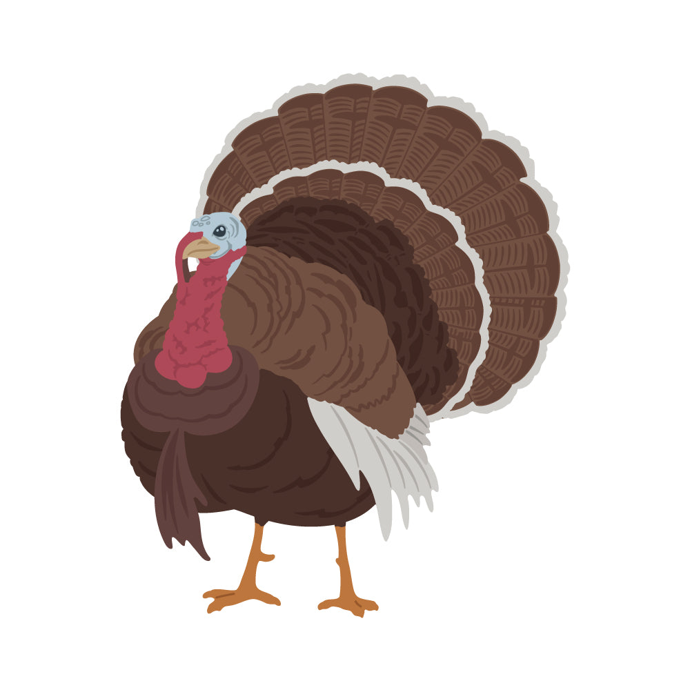 Honey Bee - Lovely Layers: Turkey - Honey Cuts