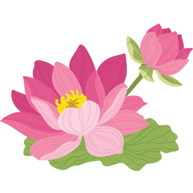 Honey Bee - Lovely Layers: Water Lily - Honey Cuts 