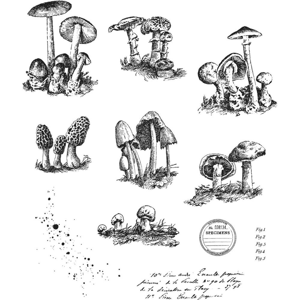 0001519734 0001519734